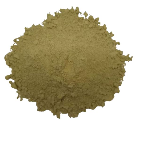 FLOR DO AMAZONAS EM P�